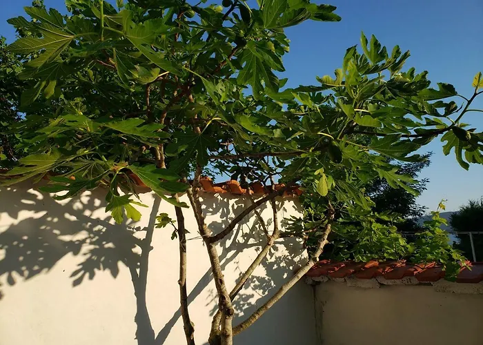 Guest house Evtimov Primorsko