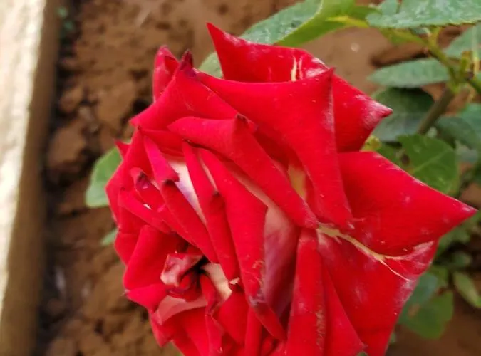 Evtimov Guest house *